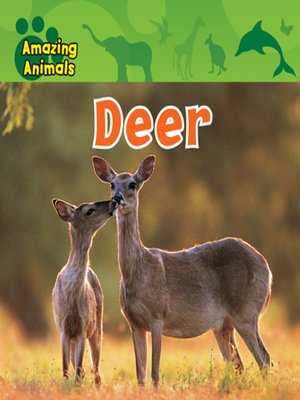 cover image of Deer
